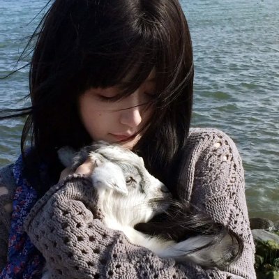 猫行东方